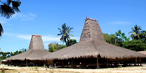 Sumba - Indonésie