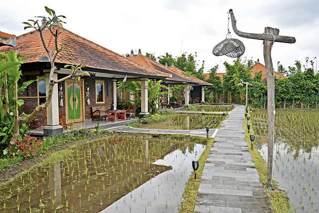 hôtel Bali CMBAN