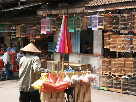 Java Centre