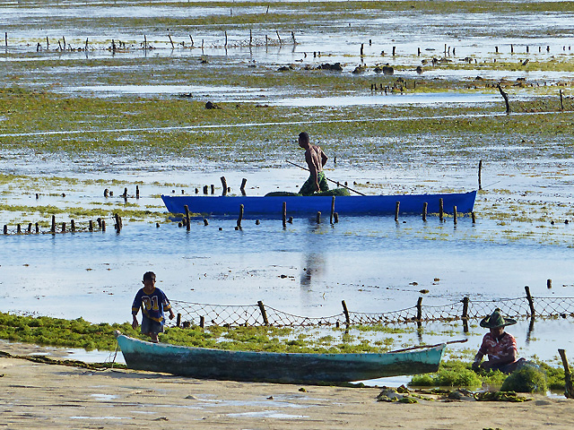 Ile de Rote