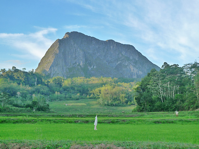 Sulawesi Toraja