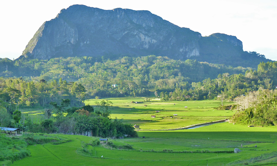 Sulawesi Toraja