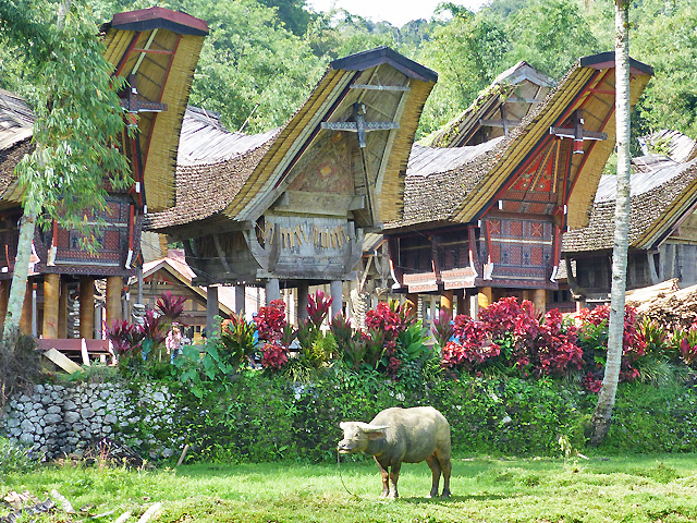 Sulawesi Toraja