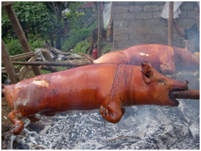 babi guling Bali