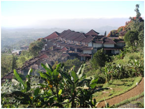 bali environnement