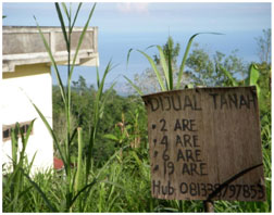 bali environnement