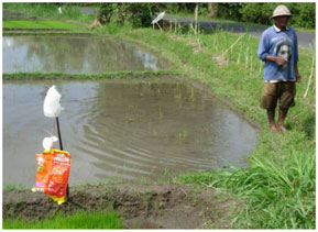 bali environnement