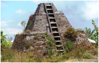 bali environnement