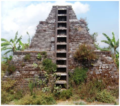 bali environnement