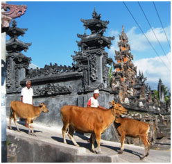 temples Bali