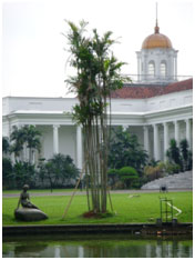 bogor java