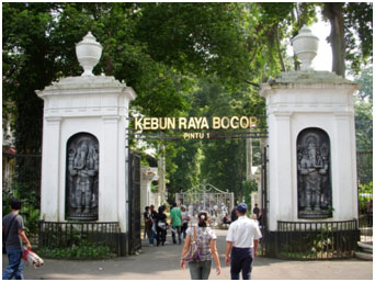 bogor jardin botanique