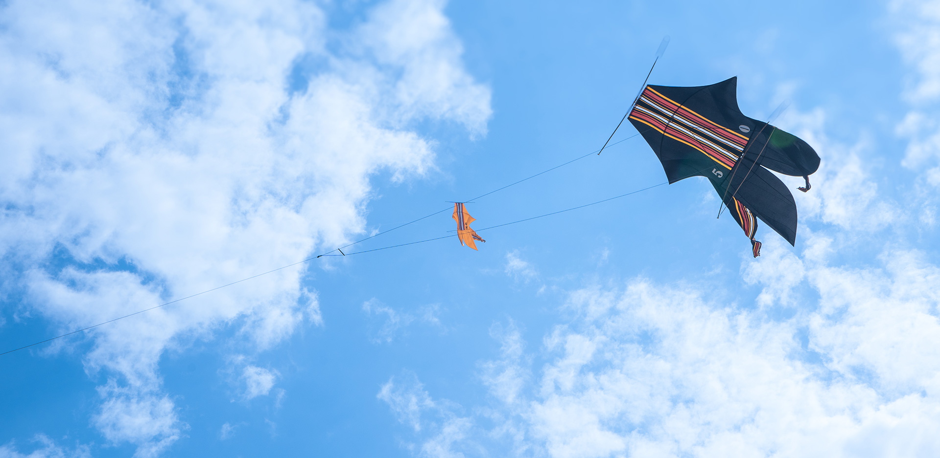 cerfs volants bali