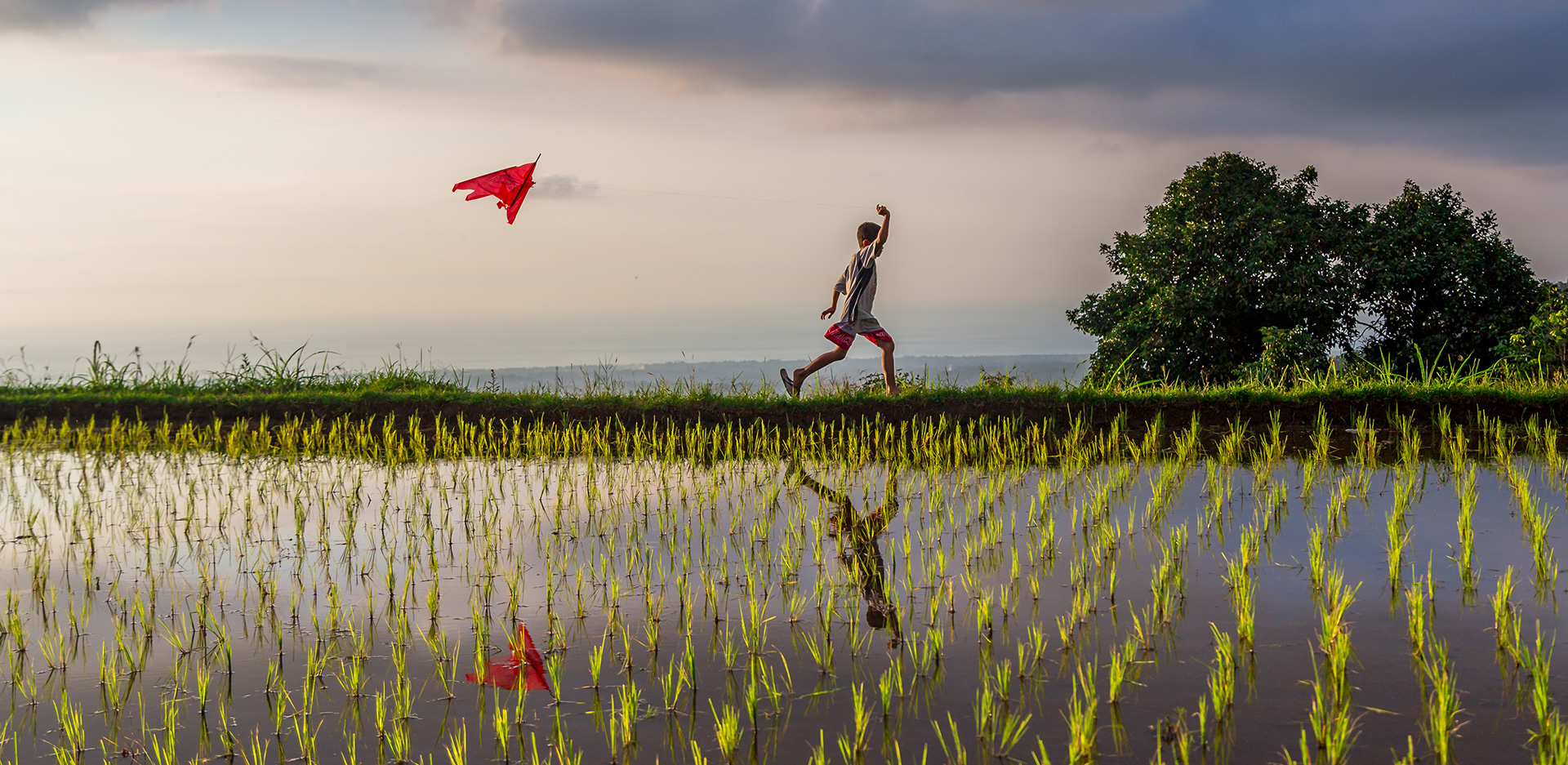 cerfs volants bali