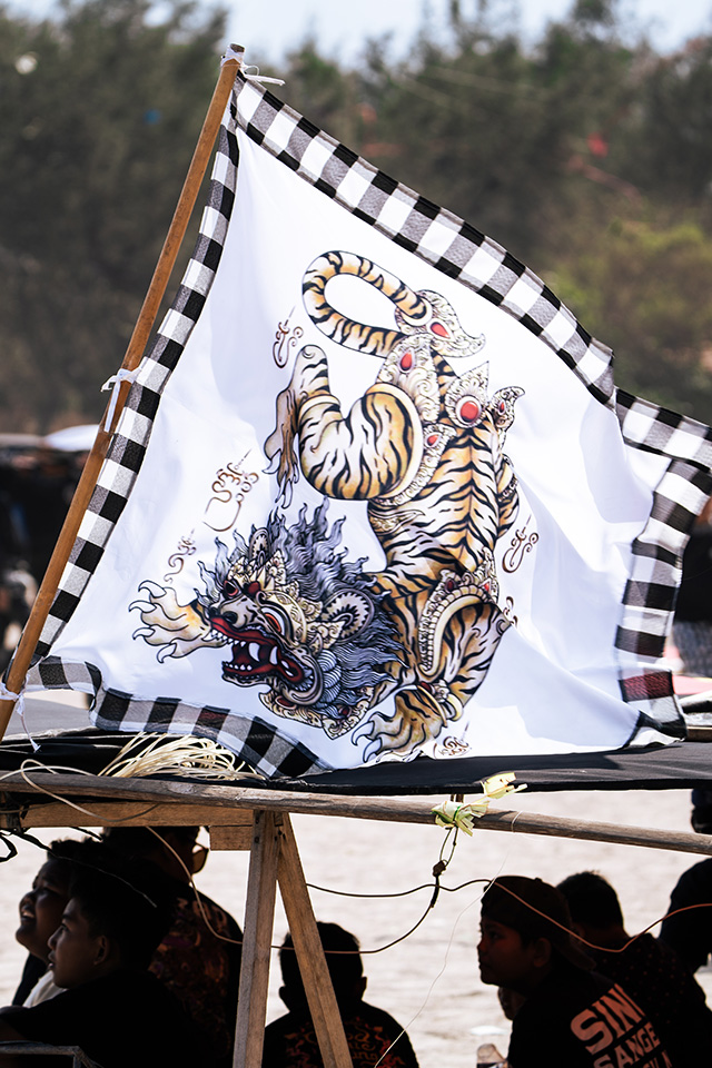 cerfs volants bali