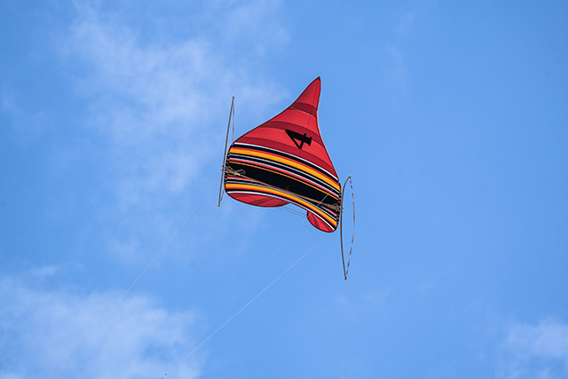 cerfs volants bali