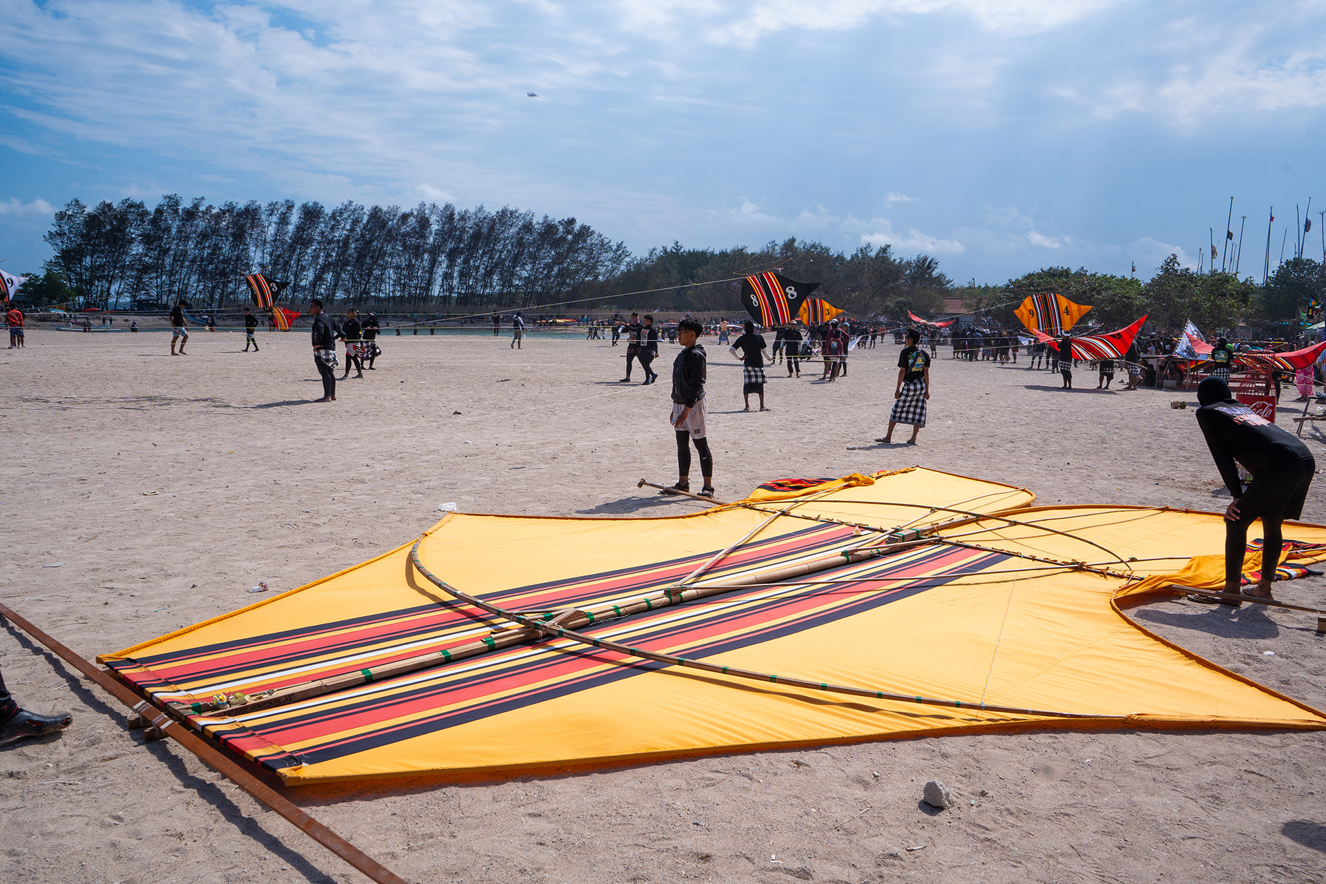 cerfs volants bali