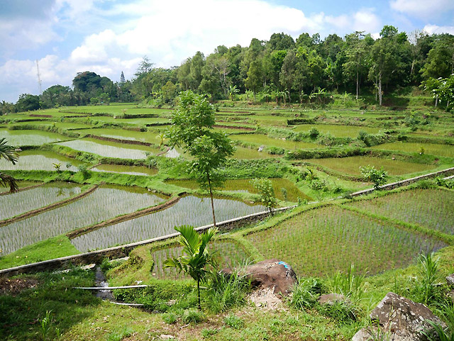 voyage lombok indonésie