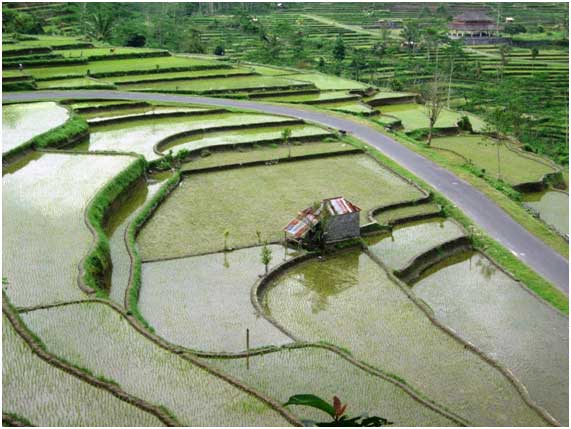 s'orienter à Bali