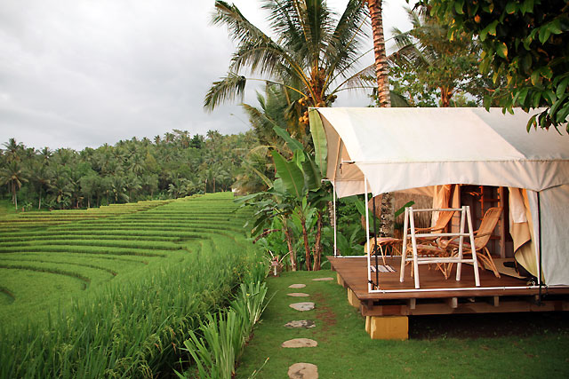 camping à Bali face aux rizières