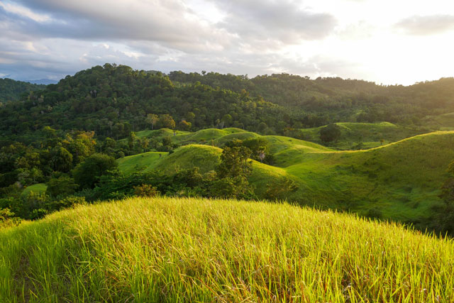 collines nord sulawesi