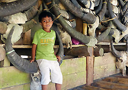 5 raisons de découvrir Sumba