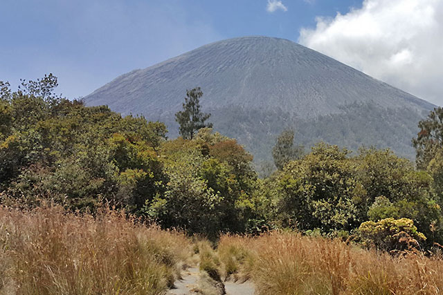 volcan semeru java