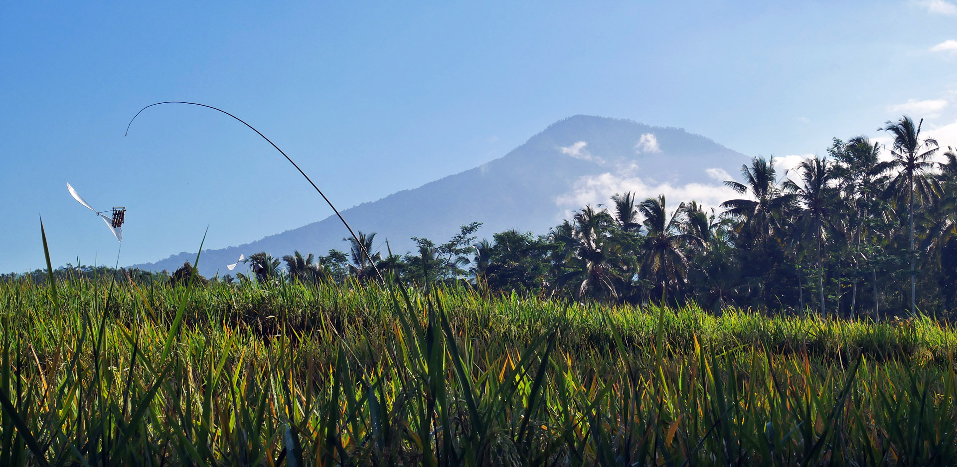 Mont Batukaru Bali