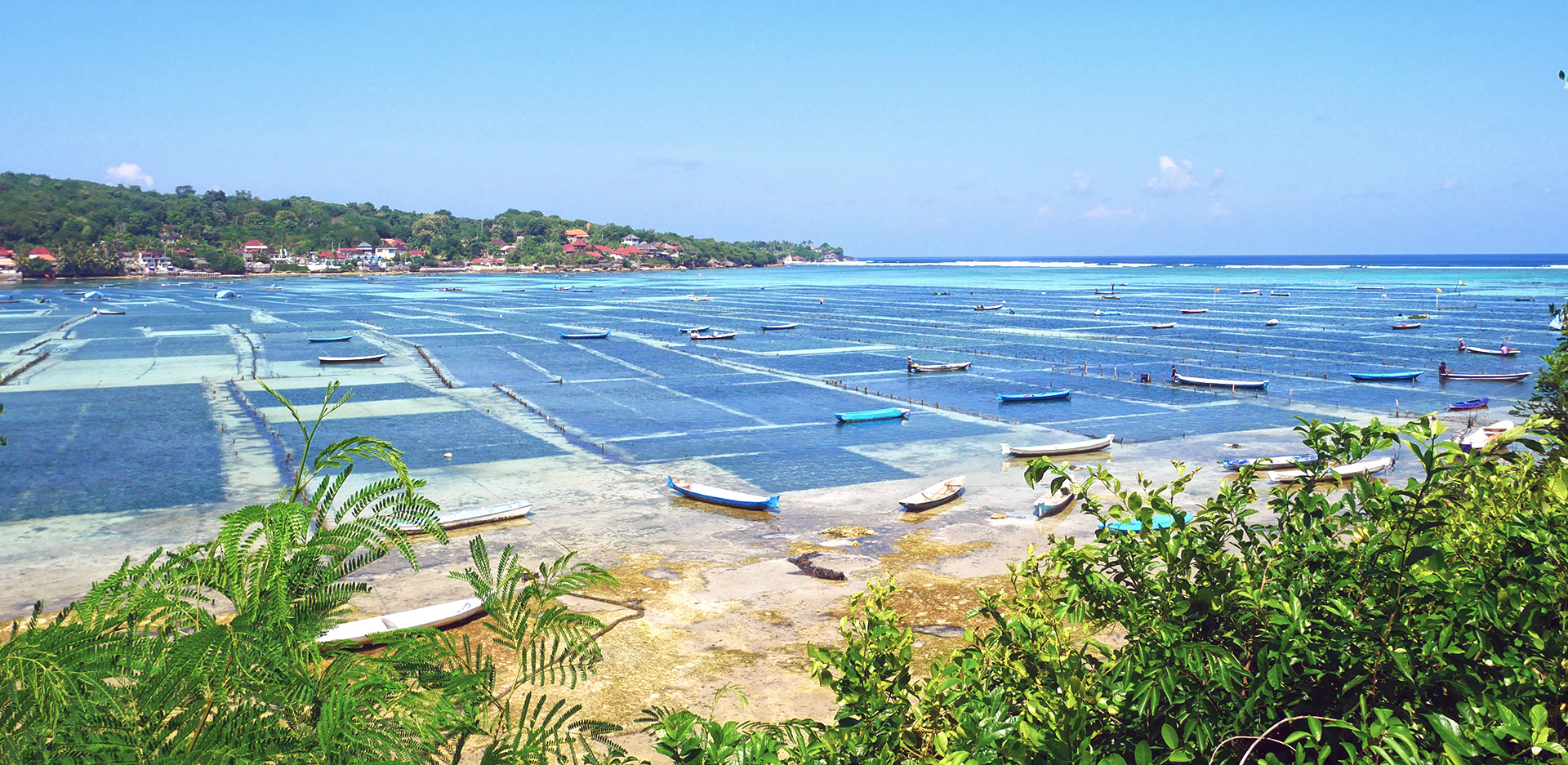 meteo bali