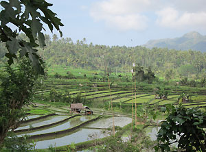 photo Bali