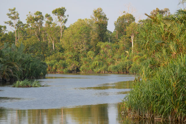 Bornéo Kalimantan