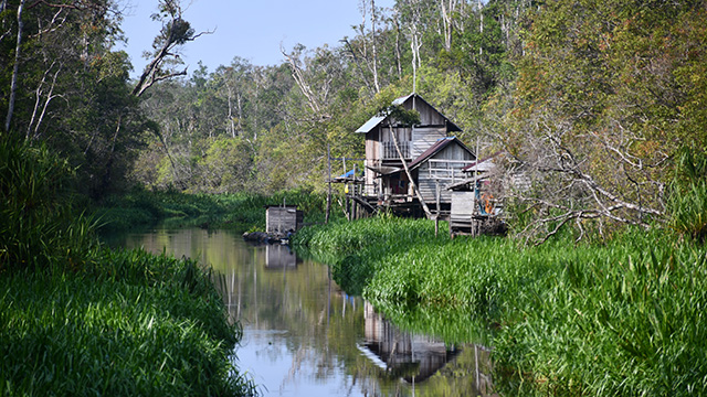 Bornéo Kalimantan