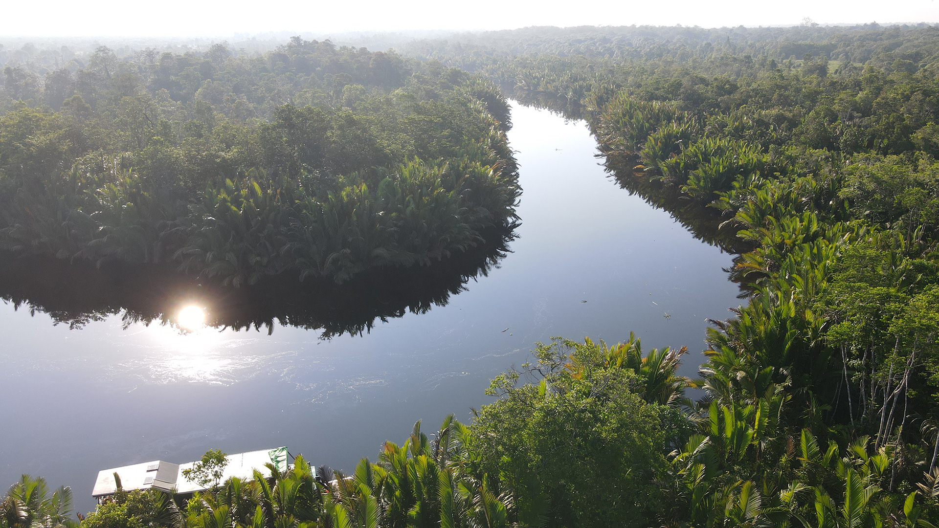 Bornéo Kalimantan