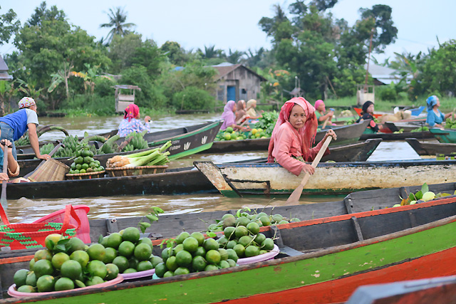 Bornéo Kalimantan