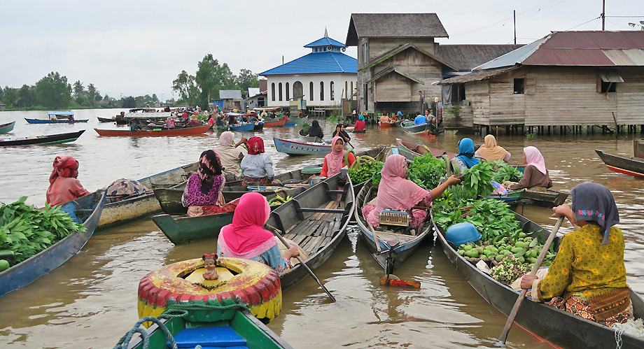 Bornéo Kalimantan