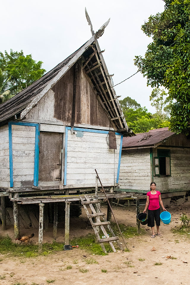 Dayak Bornéo Kalimantan