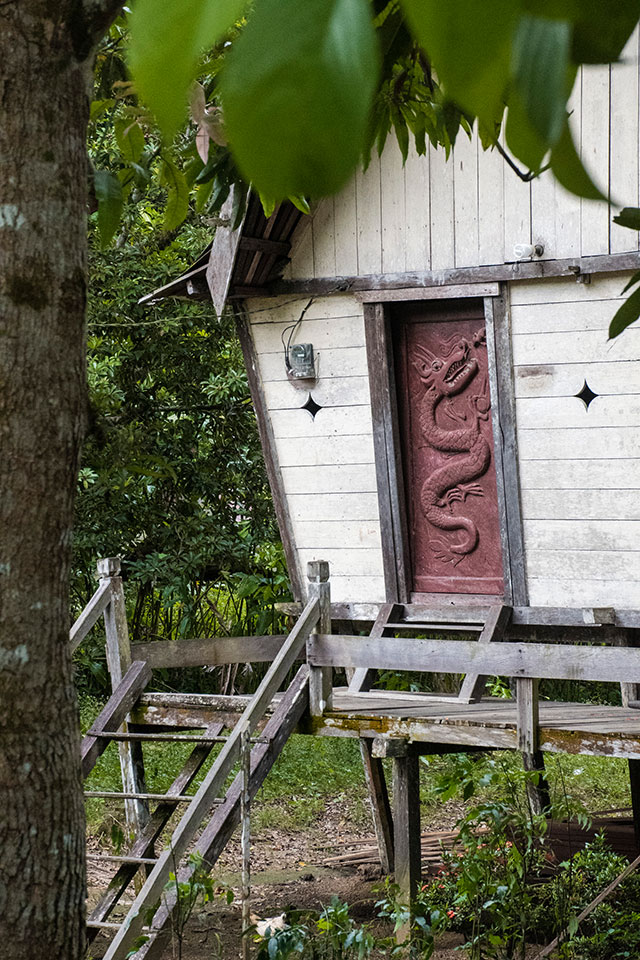 Dayak Bornéo Kalimantan