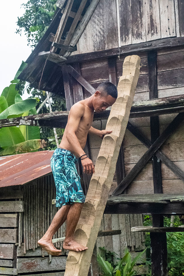 Dayak Bornéo Kalimantan