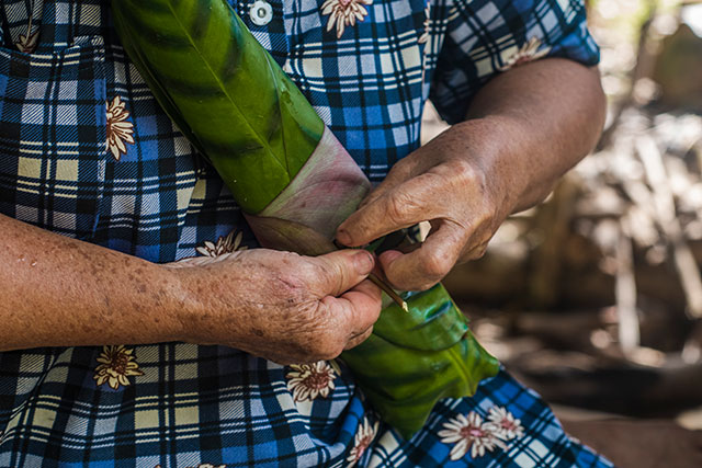 Dayak Bornéo Kalimantan