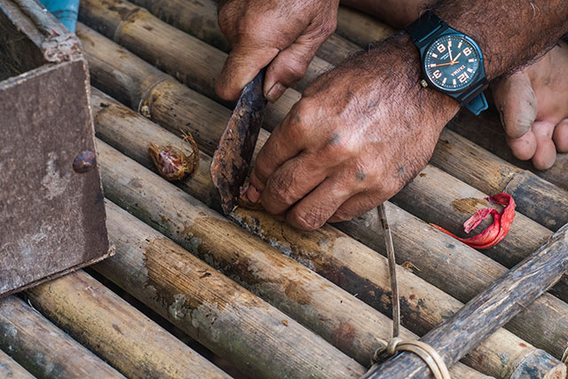 Dayak Bornéo Kalimantan