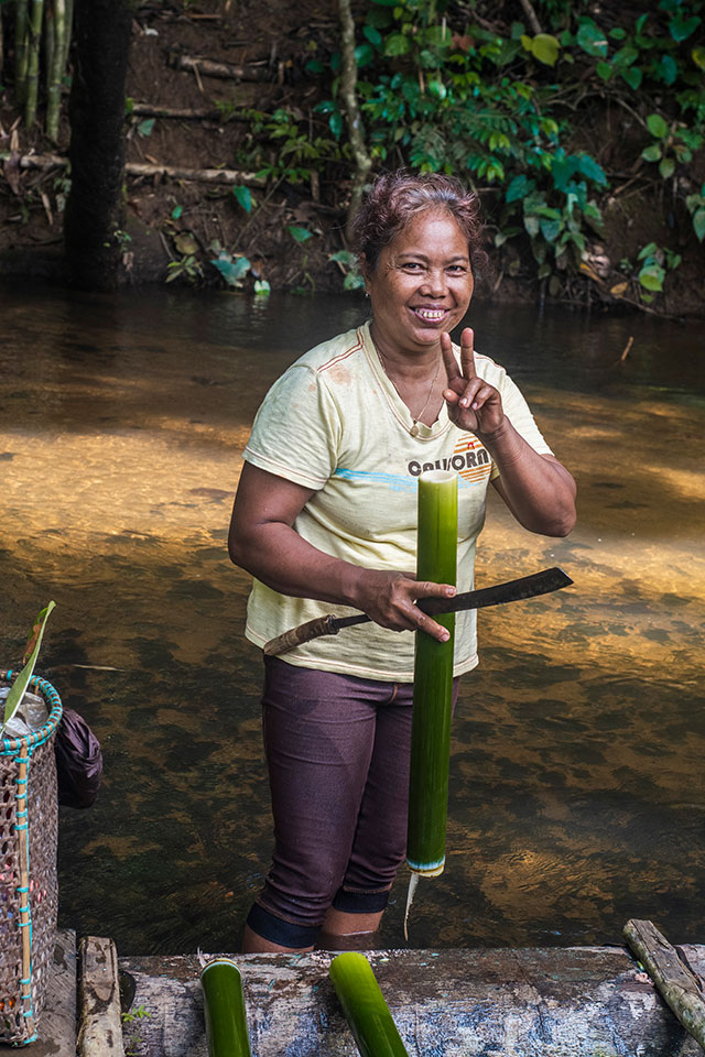 Dayak Bornéo Kalimantan