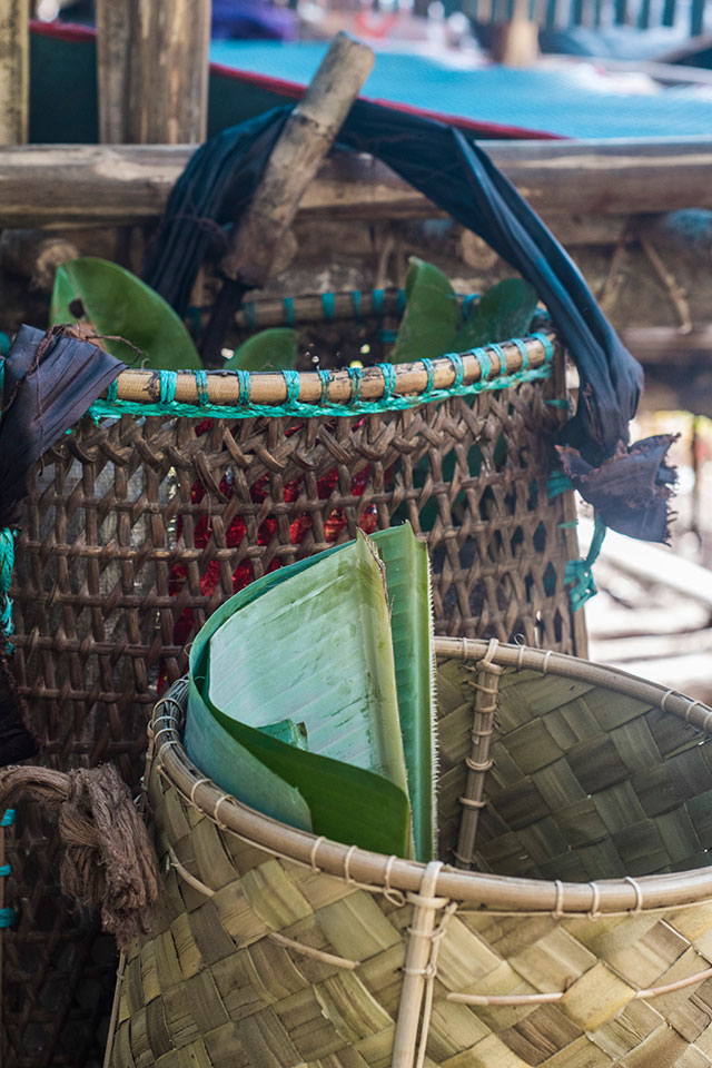 Dayak Bornéo Kalimantan