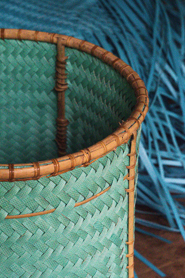 Dayak Bornéo Kalimantan