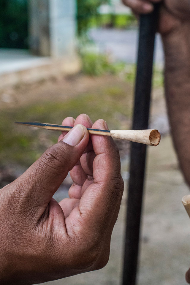 Dayak Bornéo Kalimantan