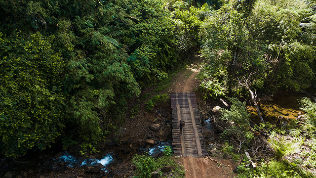 Dayak Bornéo Kalimantan
