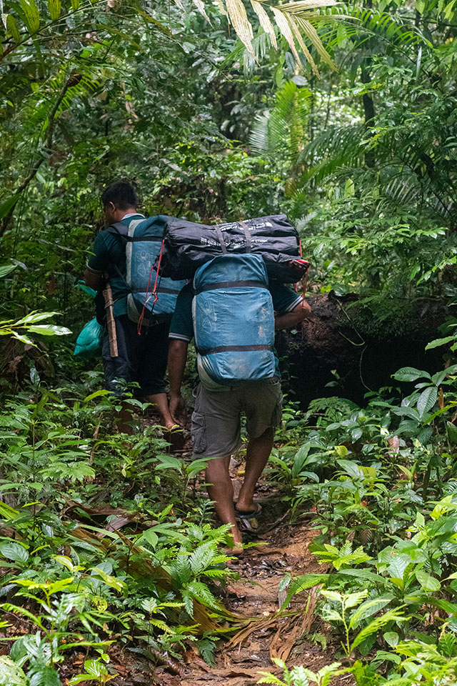 Dayak Bornéo Kalimantan