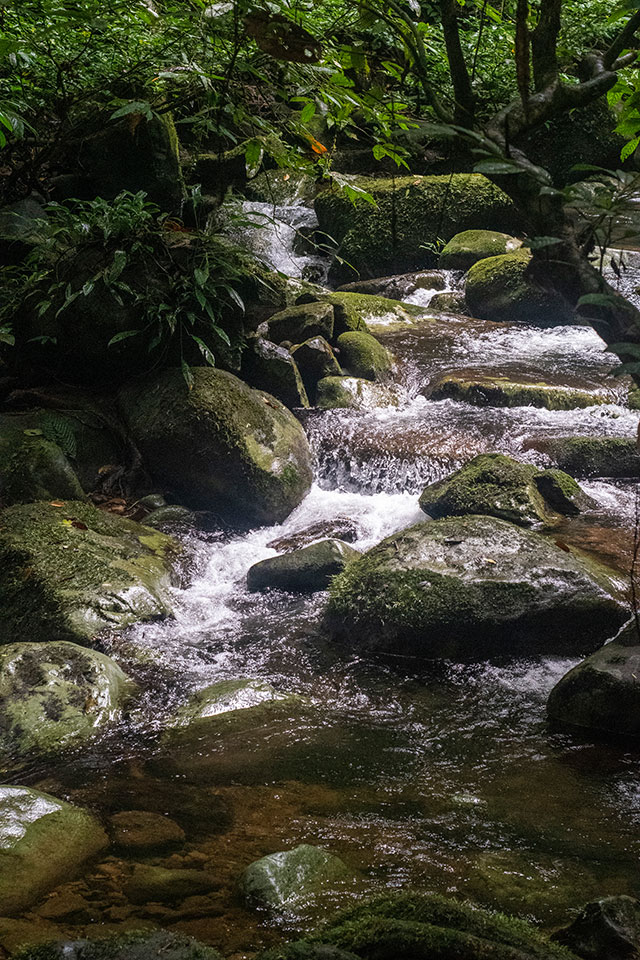 Dayak Bornéo Kalimantan