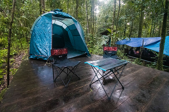 Dayak Bornéo Kalimantan