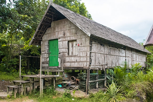 Dayak Bornéo Kalimantan