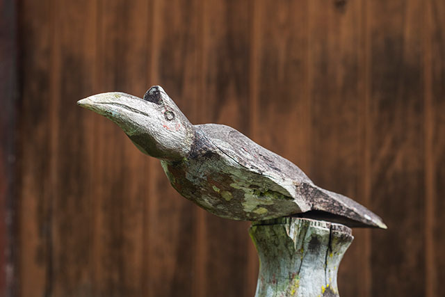 Dayak Bornéo Kalimantan